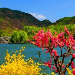 Paradise Kashmir Tour