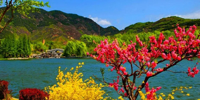Paradise Kashmir Tour