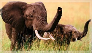 best tourist destination in india